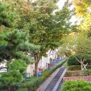 근대로의여행 골목투어2코스 이미지