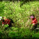 고라데이민박 이미지