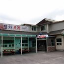 청와오리 이미지