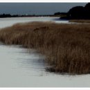 향호소공원화장실 이미지