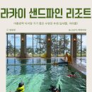 라니 | 강릉 라카이 샌드파인 수영장 라니풀 솔직후기｜아이랑 가기 좋은 리조트