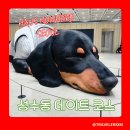 안경오픈하우스 | 하우스노웨어 성수동 데이트코스 추천 Haus Nowhere 방문꿀팁