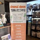 온덮밥칠곡점 | 대구 근교 칠곡 대형 애견카페 컴페니언 후기｜무료 수영장, 천연잔디 운동장까지