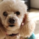 나음동물병원 이미지