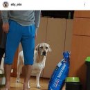 개스타