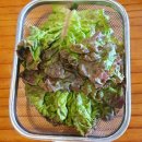 소판돈 이미지