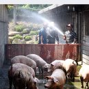 재남농장 이미지