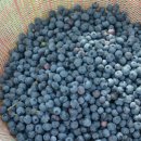 삼신농장 이미지