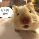 송화택지로25번길 이미지