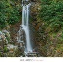 구절리역 이미지