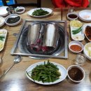 신안바다장어 이미지