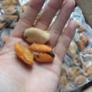 해원냉장 이미지