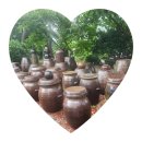 능금농장 | 가야수라간