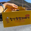 태백소방서 | 태백 애견동반 여행 코스, 입장료 0원인 강아지동반 관광지