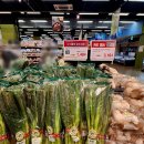 이마트 가든 5점 이미지