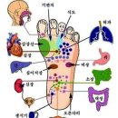 건강 상식_손과 발 지압 혈자리에 건강이있다 이미지