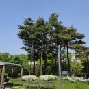 별빛공원 앞 횡단보도 이미지