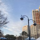 맑은하늘약국 이미지