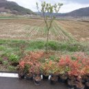 남천마을길 이미지