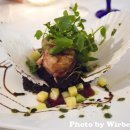 마리포사 이미지