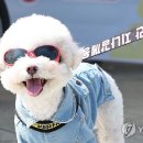 낙성대동-27 이미지