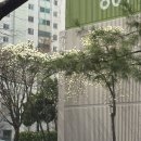 다채샤브 목동점 네이버블로그