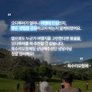 오다투어 내돈내산 몽골여행 후기 모음 투어 이후 설문