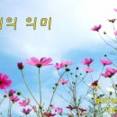 송바이올린교습소