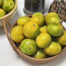 상순이네 하우스 이미지