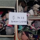 속옷마당 이미지