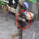 군청 이미지