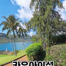 섬바위농장 | 카우아이섬투어 오아후에서 당일치기로 가능할까? 왕복 항공권 포함 투어 직접 다녀온 솔직 후기