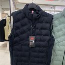 JDX | 골프, 일상용으로 다 좋은 남성 덕다운 패딩 조끼(JDX 브랜드)