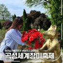 곡성역관광안내소 | 2026 전라도 곡성 장미축제 섬진강 기차마을 일정 정리
