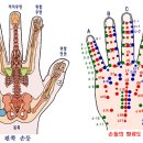 고려수지요법학회