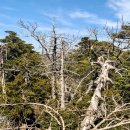 그루터기공원 이미지