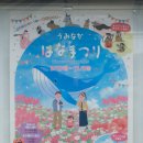 코스모스 | 10월 우미노 나카미치 코스모스 후기 및 추천