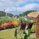 프로그타운 이미지