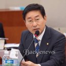대전국제전시컨벤션센터 백제뉴스