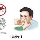 라싸열(Lassa fever) 감염성 질환이란? 이미지