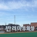 수원시 종합자원 봉사센터 | [화성,동탄] 반려마루 화성 고양이 입양센터 유기묘 관리 봉사활동, 평일 오전타임 후기