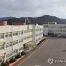 생활체육공원 인조구장A구장 이미지