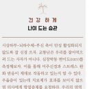 나이스카
