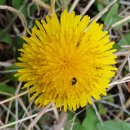 봄비가 내리고 밭농사철이 시작되는 곡우, 4월!(2) 이미지