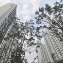 제일풍경채단지내공인중개사사무소 이미지