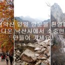 전진항낚시터