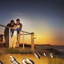 주식회사 바로팩토리 | 갓생 사는 펭귄들을 만날 수 있는 멜버른 필립아일랜드 투어 추천 (가격/ 후기/ 일정/ 예약 방법 포함)