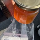 속천로 | 창원 진해 맛집 파파레 분위기 좋은 양식 레스토랑