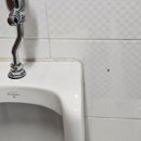 부흥로315번길 18 이미지