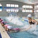 수창초교 이미지